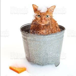 Meet your Posher, Charles